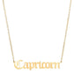 THE ZODIAC SCRIPT  NECKLACE(MEN)