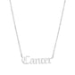 THE ZODIAC SCRIPT  NECKLACE(MEN)