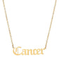 THE ZODIAC SCRIPT  NECKLACE(MEN)
